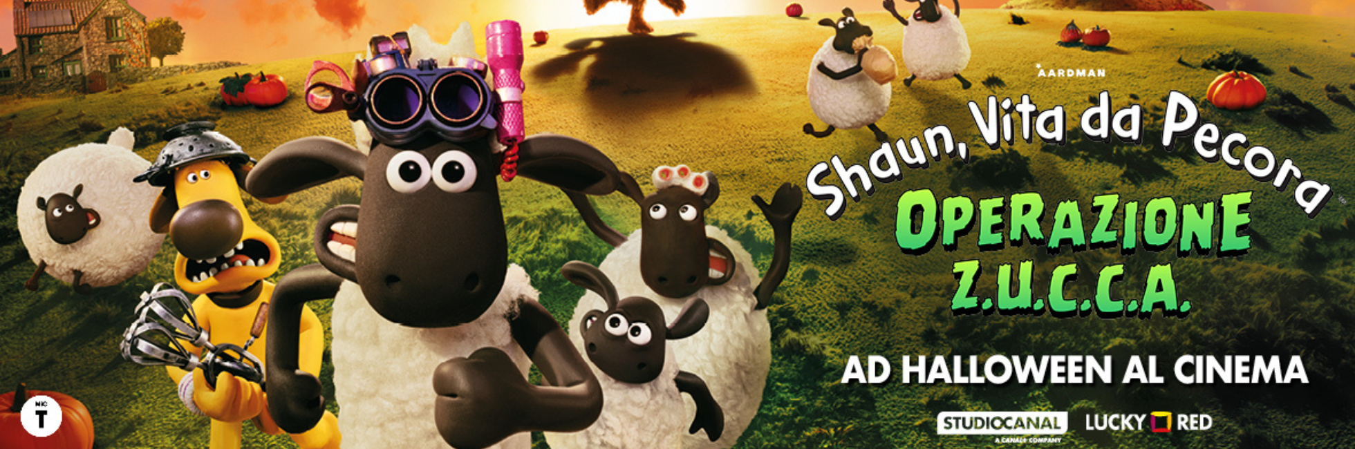 Shaun, Vita da Pecora: Operazione Z.U.C.C.A.