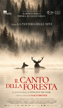 IL CANTO DELLA FORESTA